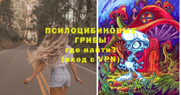 spice Алзамай