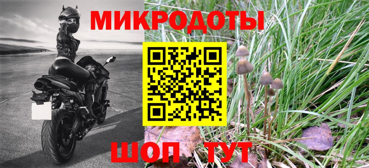 Котлас  Галлюциногенные грибы Magic Shrooms  как найти закладки  Вход с VPN  Галлюциногенные грибы ЛСД 